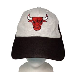 Chicago Bulls NBA Wool/Rayon Embroidered Gray/Black Basketball Adjustable Hat